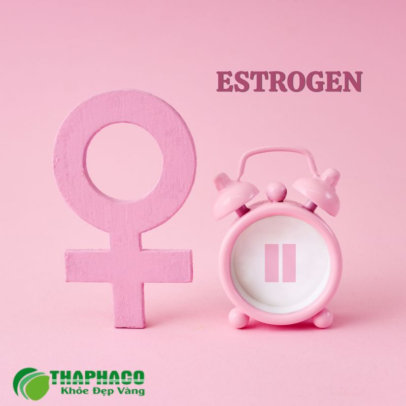 Estrogen là hormone nữ tính chính, điều hòa chu kỳ, phát triển giới tính thứ cấp