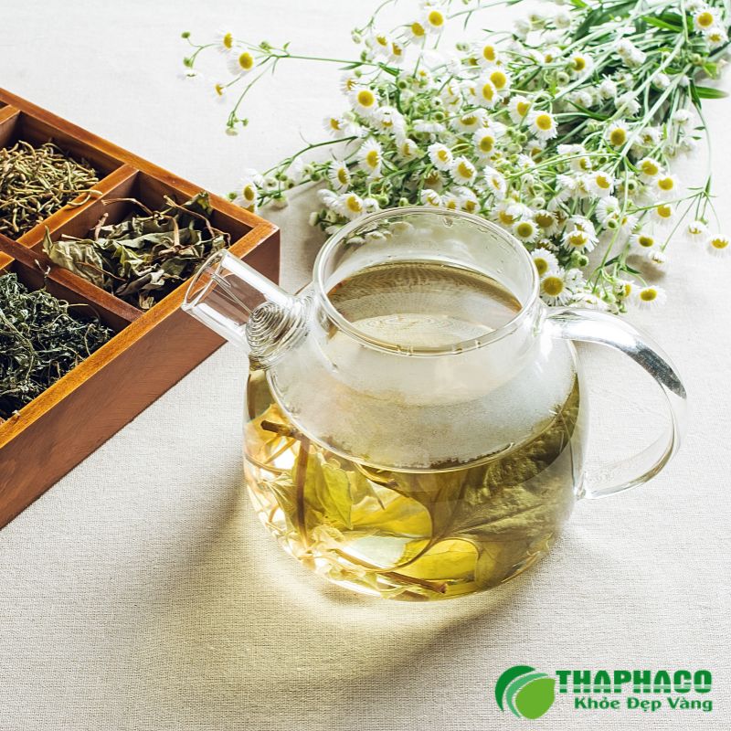 Dược liệu Thaphaco "Sạch, Nguyên chất, Hiệu quả" được chế biến bằng công nghệ sấy lạnh