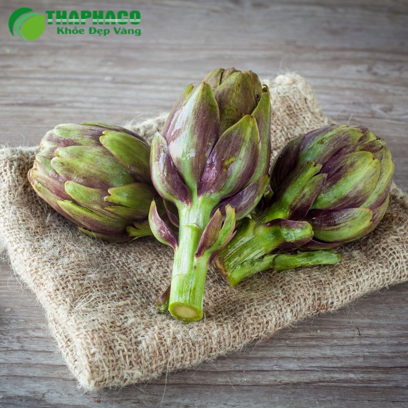 Dược Liệu Thiên Nhiên Hỗ Trợ Sức Khỏe Thận Toàn Diện Từ Thaphaco
