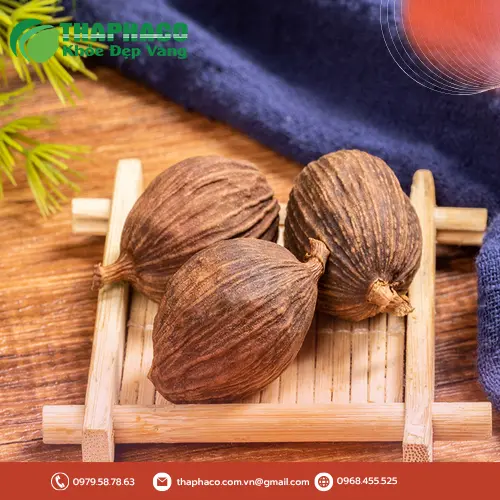 Thảo quả sấy khô tự nhiên THAPHACO chất lượng cao