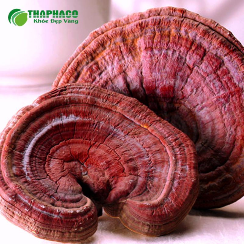 Thaphaco tự hào là thương hiệu dược liệu sạch, nguyên chất, hỗ trợ sức khoẻ cộng đồng