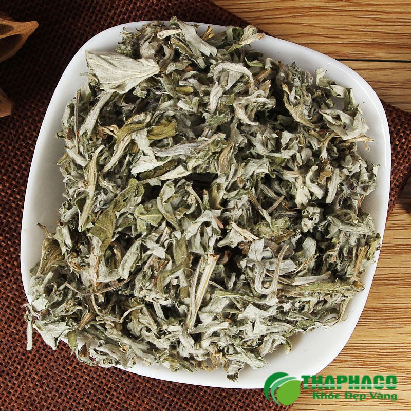 Một Số Bài Thuốc Dân Gian Phổ Biến Từ Dược Liệu Hỗ Trợ U Xơ Tử Cung