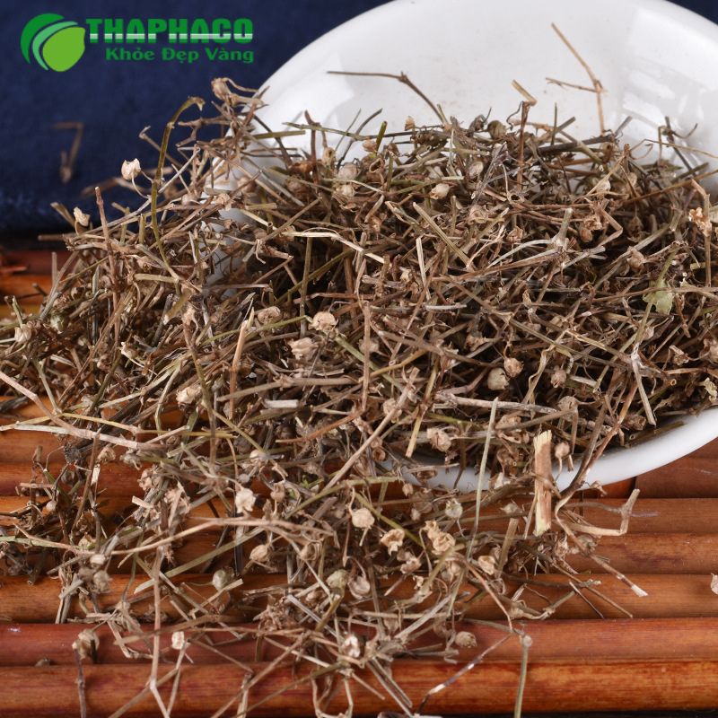 Thaphaco cung cấp dược liệu nguyên chất, sạch, hỗ trợ sức khỏe tổng thể