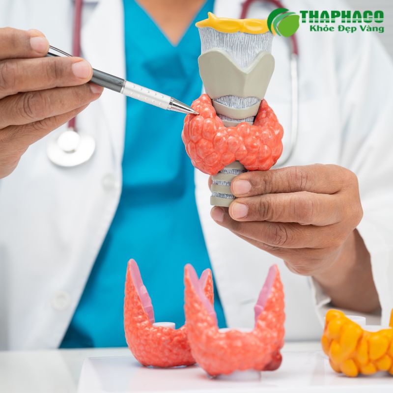Chẩn đoán ung thư tuyến giáp đòi hỏi sự kết hợp của nhiều phương pháp