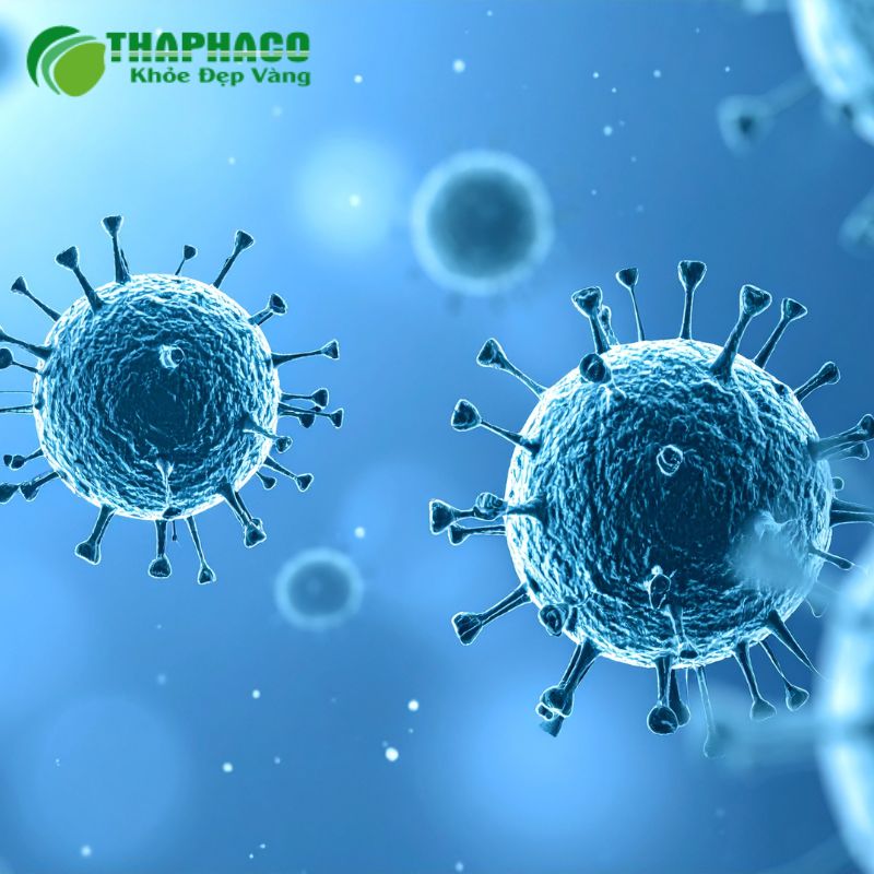 Viêm âm hộ có thể do nhiều nguyên nhân, từ nhiễm trùng vi khuẩn, nấm, virus đến dị ứng hóa chất