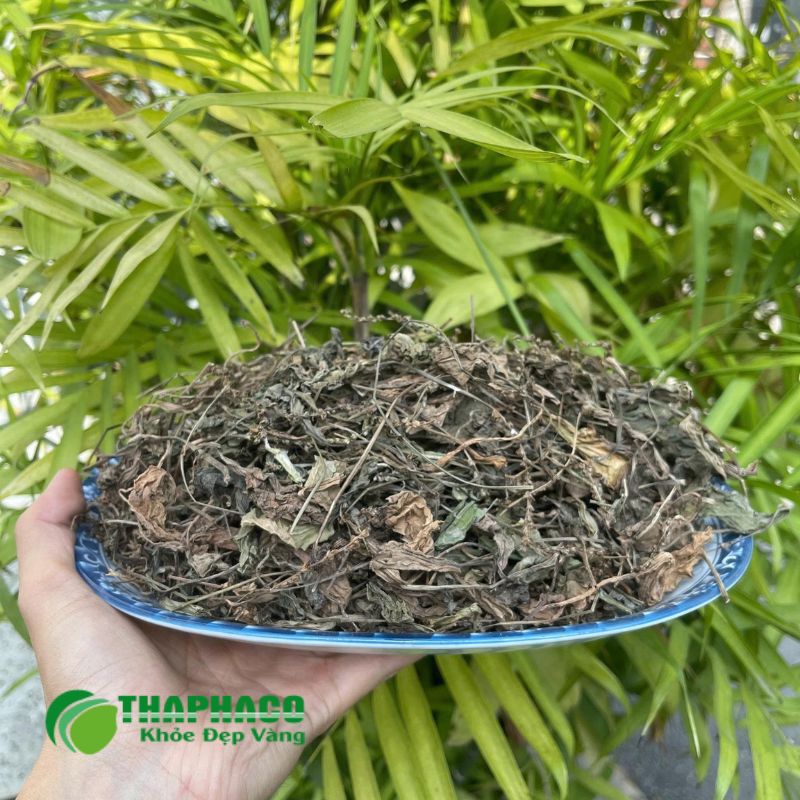 Thaphaco Là Địa Chỉ Tin Cậy Cung Cấp Dược Liệu Hỗ Trợ Sức Khỏe Đường Tiết Niệu
