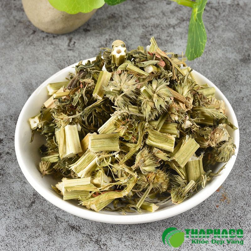 Ích mẫu nổi bật với công dụng hỗ trợ điều hòa kinh nguyệt, giảm viêm, tăng cường lưu thông máu