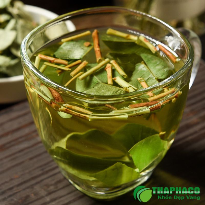 Hướng Dẫn Sử Dụng Dược Liệu Hỗ Trợ Thận Từ Thaphaco Đúng Cách Và An Toàn