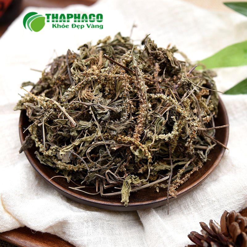Dược Liệu Hỗ Trợ Thận "Sạch, Nguyên Chất, Hiệu Quả" Từ Thaphaco