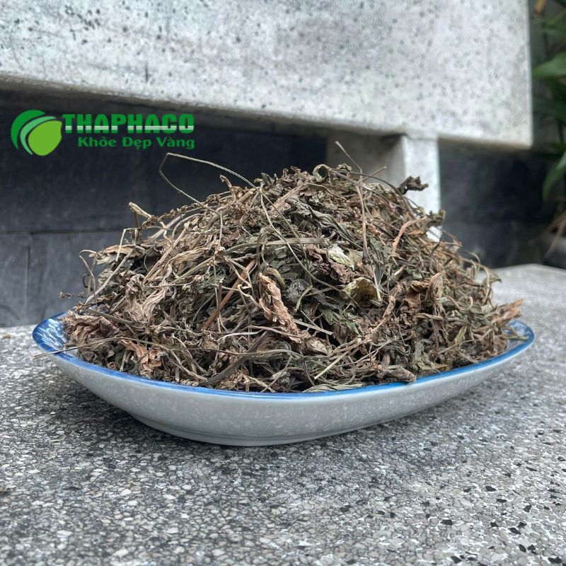Bài Thuốc Dân Gian Hỗ Trợ Viêm Đường Tiết Niệu Từ Dược Liệu Thaphaco