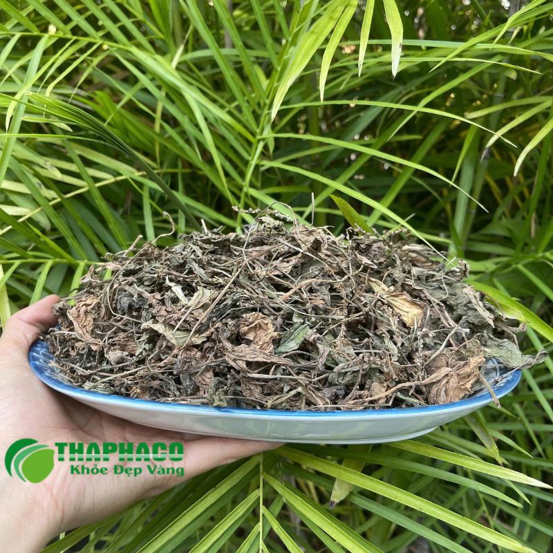 Thaphaco tự hào cung cấp dược liệu sạch, nguyên chất, đạt chuẩn GACP-WHO