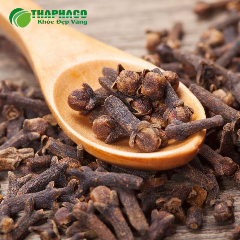 Dược liệu sạch, nguyên chất tại Thaphaco hỗ trợ cải thiện sức khoẻ nữ giới an toàn, hiệu quả