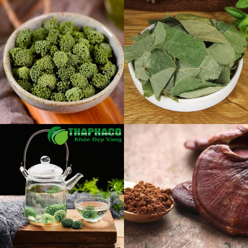 Giảo cổ lam, Lá sen, Nấm linh chi, Tam thất chứa nhiều hoạt chất quý, giúp hỗ trợ giảm cholesterol