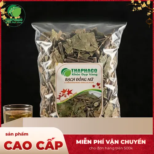 Cây bạch đồng nữ và đặc điểm nhận biết