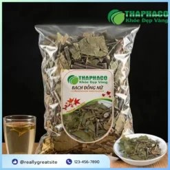 Địa Chỉ Mua Bạch Đồng Nữ Khô Uy Tín, Chất Lượng Tại TP.HCM