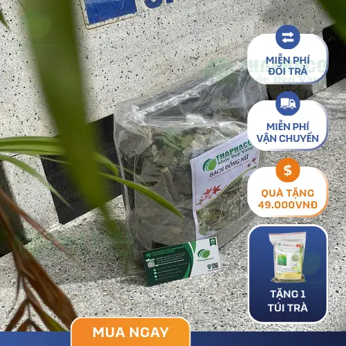 Quy trình đóng gói bạch đồng nữ khô tại THAPHACO