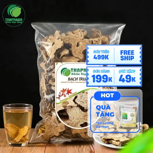 Hình ảnh củ Bạch Truật khô tự nhiên