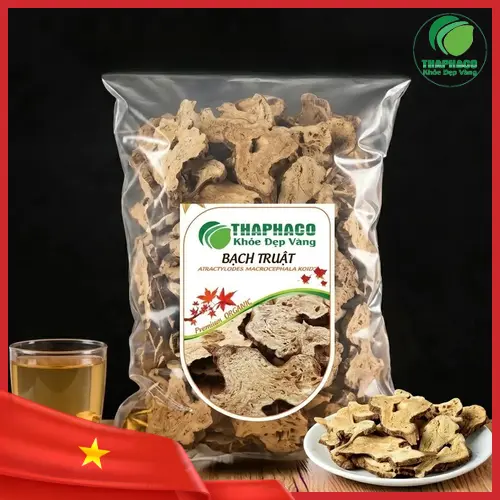 Củ Bạch Truật khô, đặc điểm nhận biết