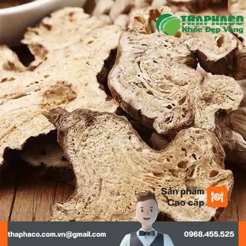 Bạch Truật hỗ trợ tiêu hóa khỏe mạnh
