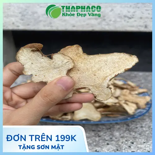 Bạch Truật hỗ trợ an thai theo Y học cổ truyền
