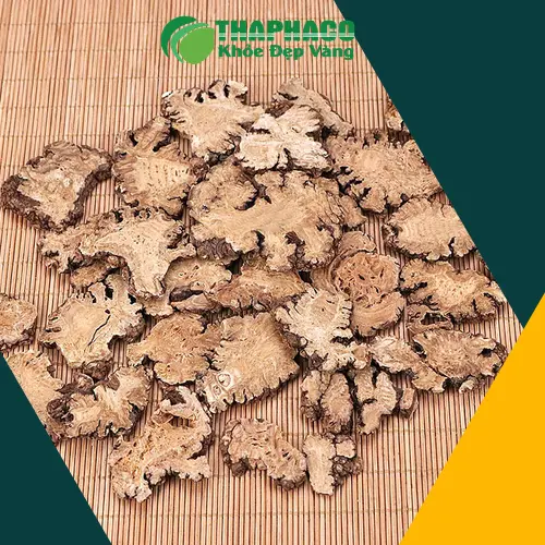 Bạch Truật có thể tương tác với thuốc tây