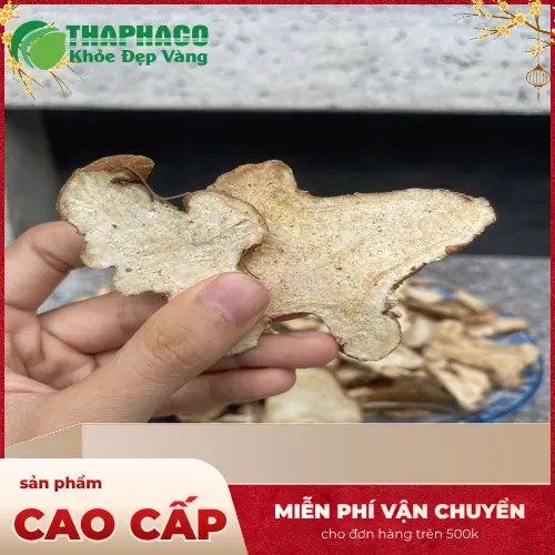 Cách dùng Bạch Truật và đối tượng sử dụng