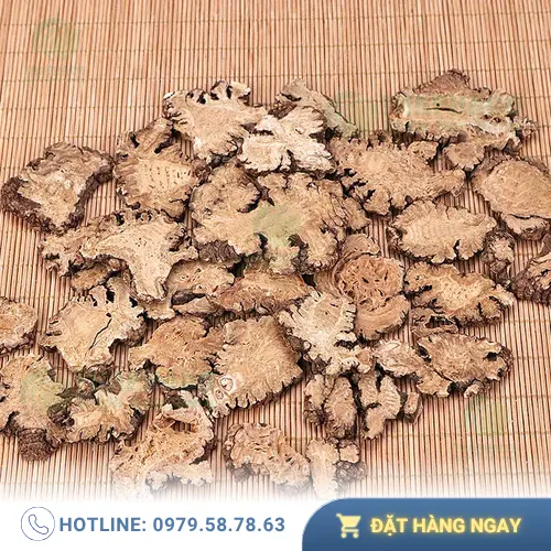 Mua Bạch Truật chất lượng tại THAPHACO