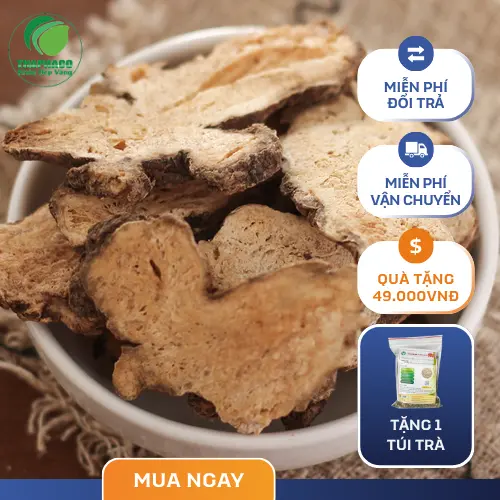 Bạch Truật sơ chế và bảo quản đúng cách