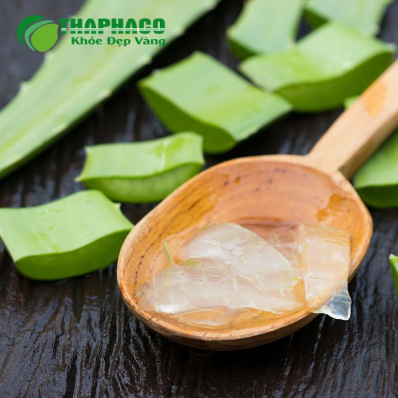 Thaphaco đảm bảo nguồn gốc dược liệu rõ ràng, được trồng trọt và thu hái theo tiêu chuẩn GACP-WHO