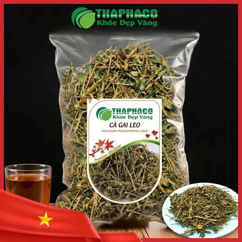 Cà Gai Leo Sấy Khô THAPHACO nguyên chất
