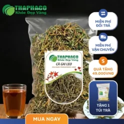 Địa Chỉ Mua Cà Gai Leo Sấy Khô Chất Lượng Tại TP.HCM - THAPHACO