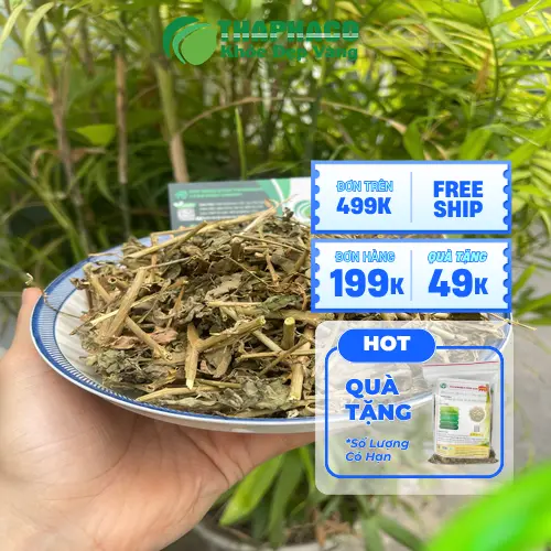 Hình ảnh người đang pha trà cà gai leo khô