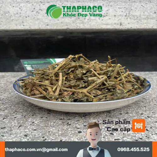 Cà gai leo khô đã được thái lát và phơi khô