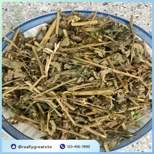 Lưu ý khi dùng cà gai leo