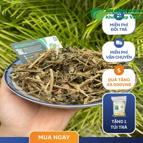 Nước cà gai leo trong cốc thủy tinh