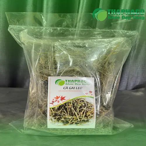 Quy trình đóng gói Cà Gai Leo sấy khô THAPHACO