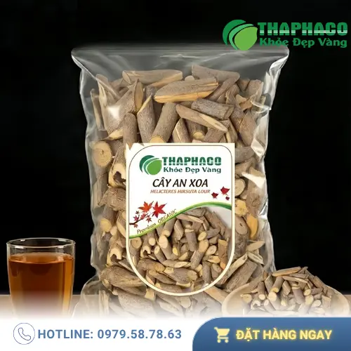 Cây an xoa khô đã được làm sạch và thái lát