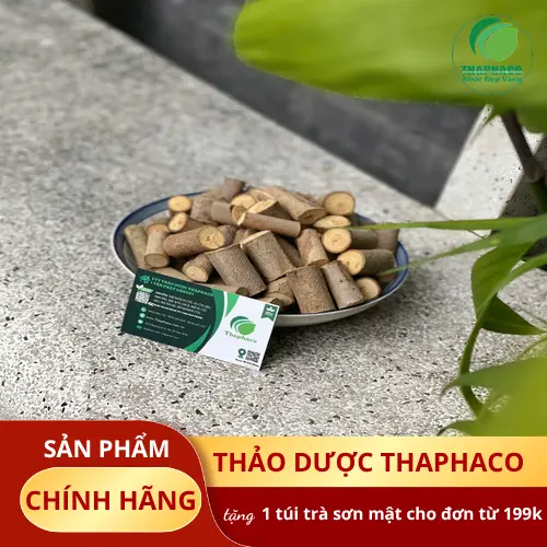 Thân và lá Cây An Xoa tươi sau khi thu hoạch