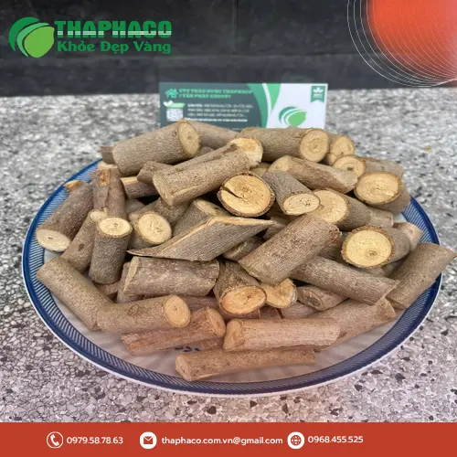 Lợi ích hỗ trợ sức khỏe từ cây an xoa