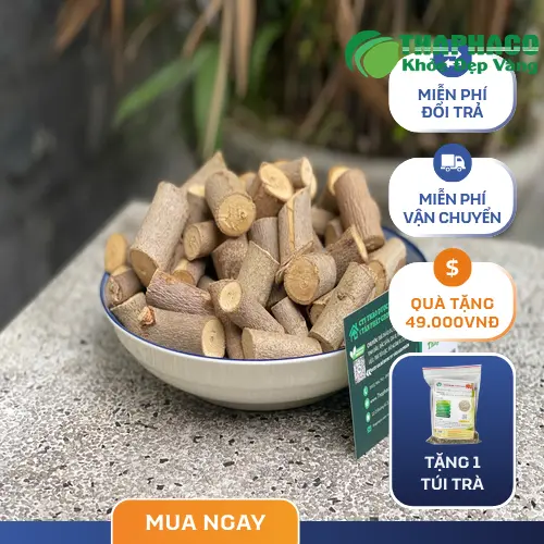 Công dụng hỗ trợ của Cây An Xoa