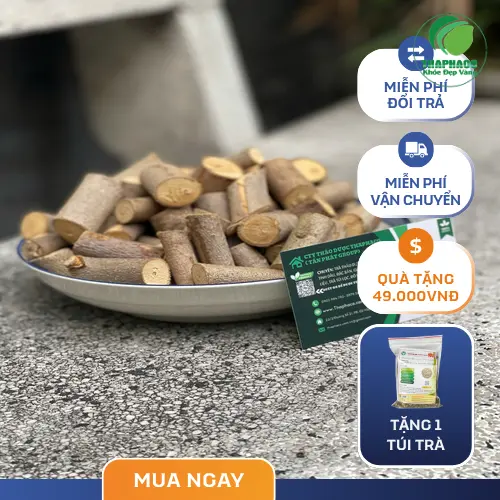 Pha trà cây an xoa khô tiện lợi