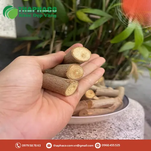 Cách phơi khô Cây An Xoa để bảo quản và sử dụng