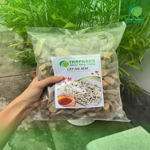 Cách sắc và sử dụng cây an xoa sấy khô