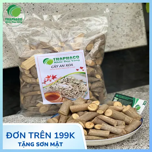 Cách sơ chế và sử dụng Cây An Xoa