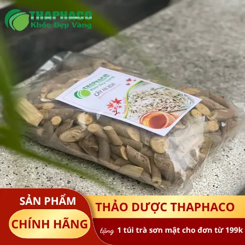 Tham khảo ý kiến chuyên gia y tế trước khi dùng cây an xoa