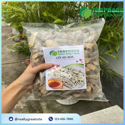 Sản phẩm Cây An Xoa khô chất lượng cao từ THAPHACO