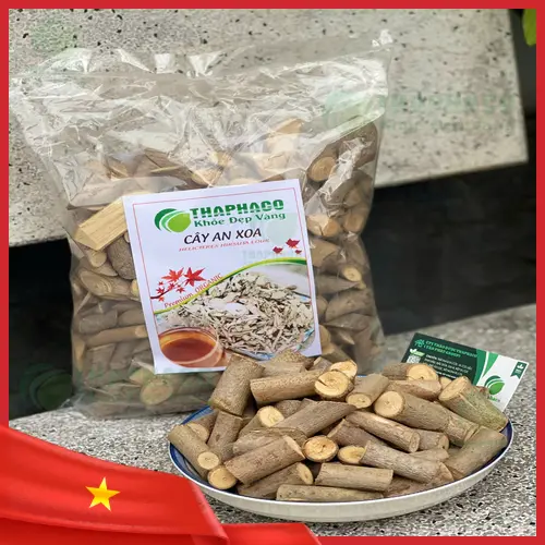THAPHACO - Thương hiệu uy tín cung cấp cây an xoa