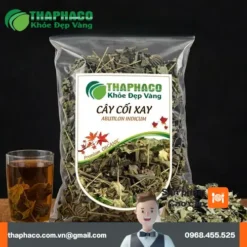 Mua Cây Cối Xay Ở Đâu Uy Tín Tại TP.HCM