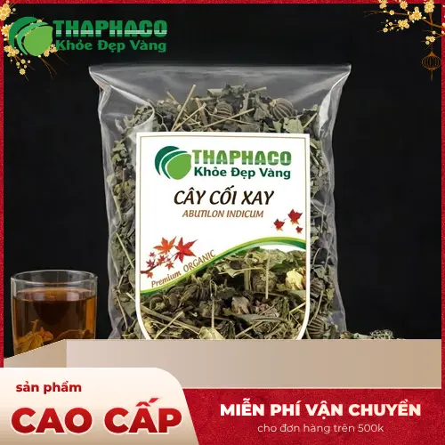 Cây Cối Xay là gì, đặc điểm nhận biết của cây cối xay