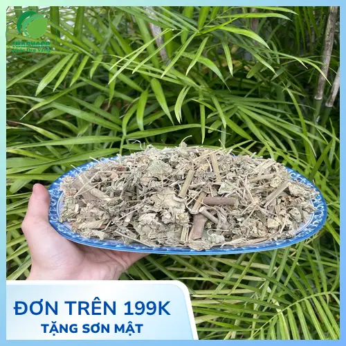 Đặc điểm nhận biết cây cối xay khô
